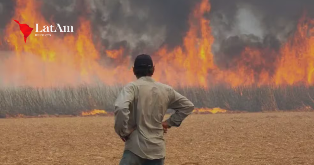 Incêndios aumentam perdas na cana-de-açúcar em São Paulo, que sofre com seca prolongada