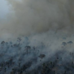 Megaincêndios na Amazônia aceleram risco de colapso do bioma