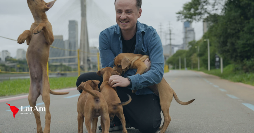 Vira-lata Caramelo: Os Cachorros que Viraram Símbolo do Brasil