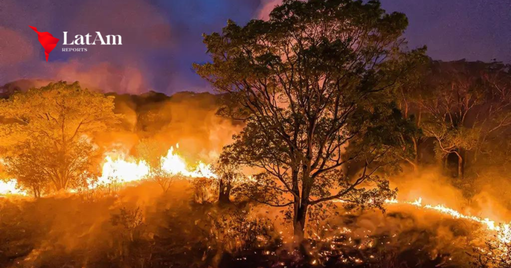 Incêndio no pantanal