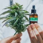 Anvisa propõe regras para produção de cannabis medicinal no Brasil