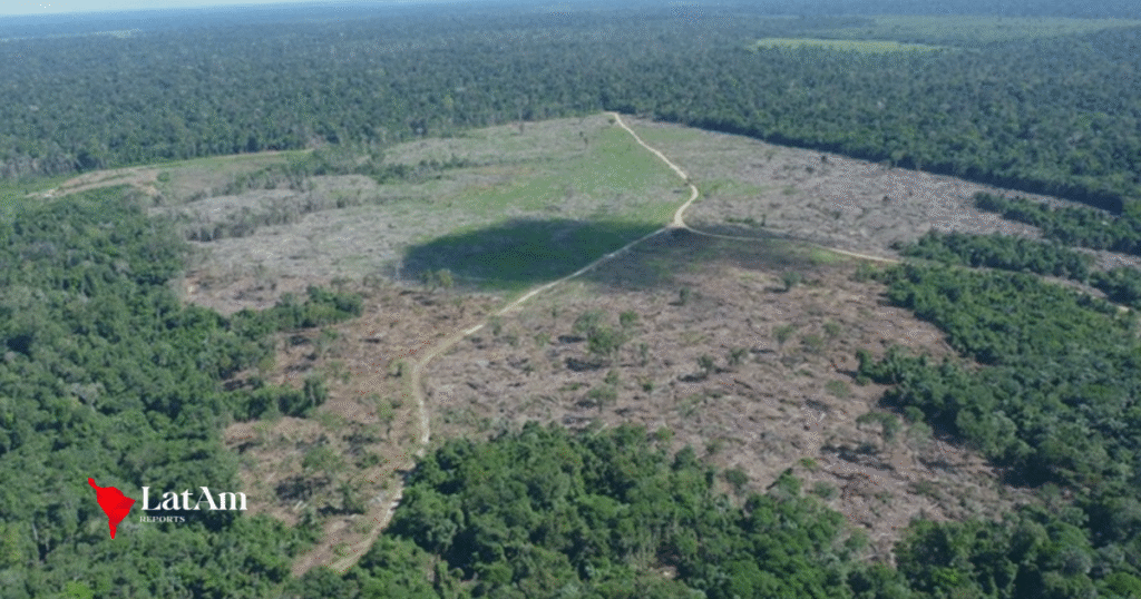Brasil registra menor taxa de desmatamento na Amazônia em 11 anos, aponta Inpe