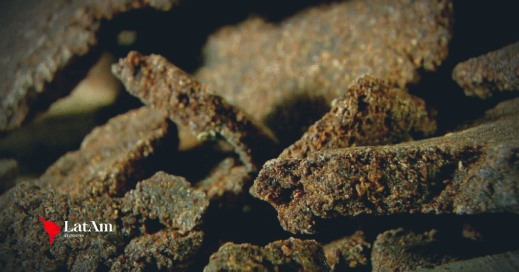 ‘Cocaína negra’ apreendida em Manaus expõe nova técnica que dribla cães e testes químicos