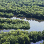 CV e PCC ampliam rede na Amazônia e usam rotas fluviais até o Atlântico, aponta relatório de inteligência