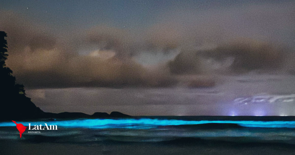 Fenômeno da bioluminescência cria espetáculo de luz azul no mar de Ubatuba