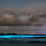 Fenômeno da bioluminescência cria espetáculo de luz azul no mar de Ubatuba