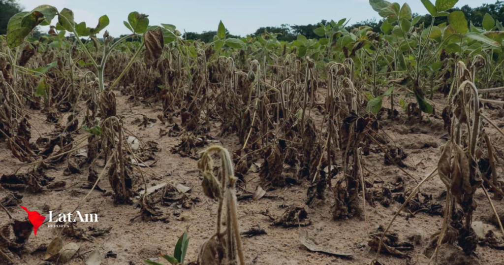 Brasil enfrenta nova crise hídrica e seca avança sobre o Pantanal e Centro-Sul
