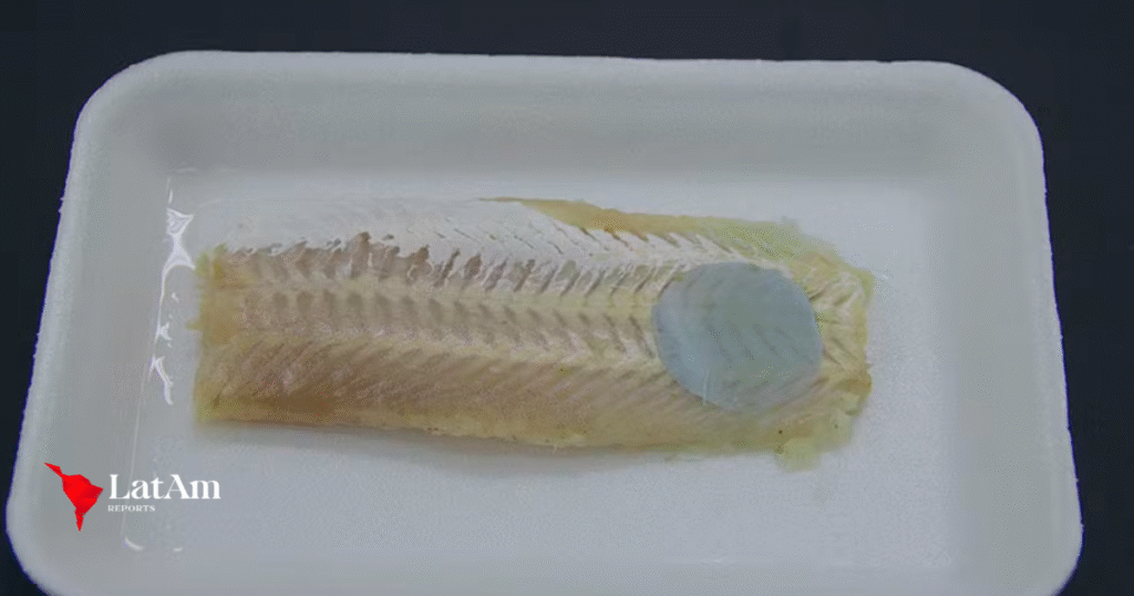 Brasileiros criam embalagem que muda de cor para avisar se o peixe está estragado