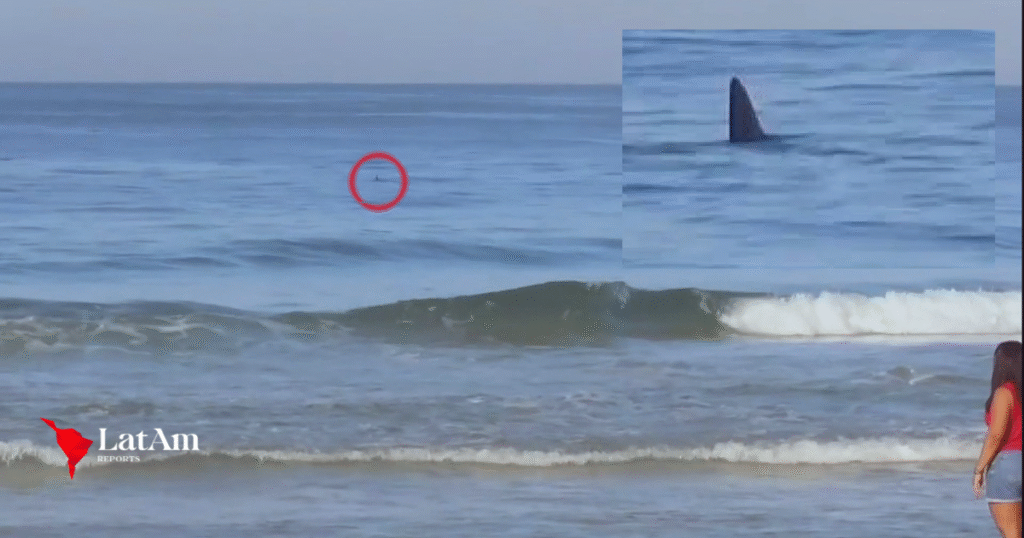 Tubarão assusta surfistas na Barra da Tijuca e provoca retirada de alunos do mar