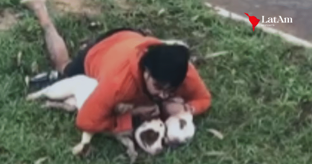 Professor de Muay Thai imobiliza dois pitbulls após ataque durante corrida em MS