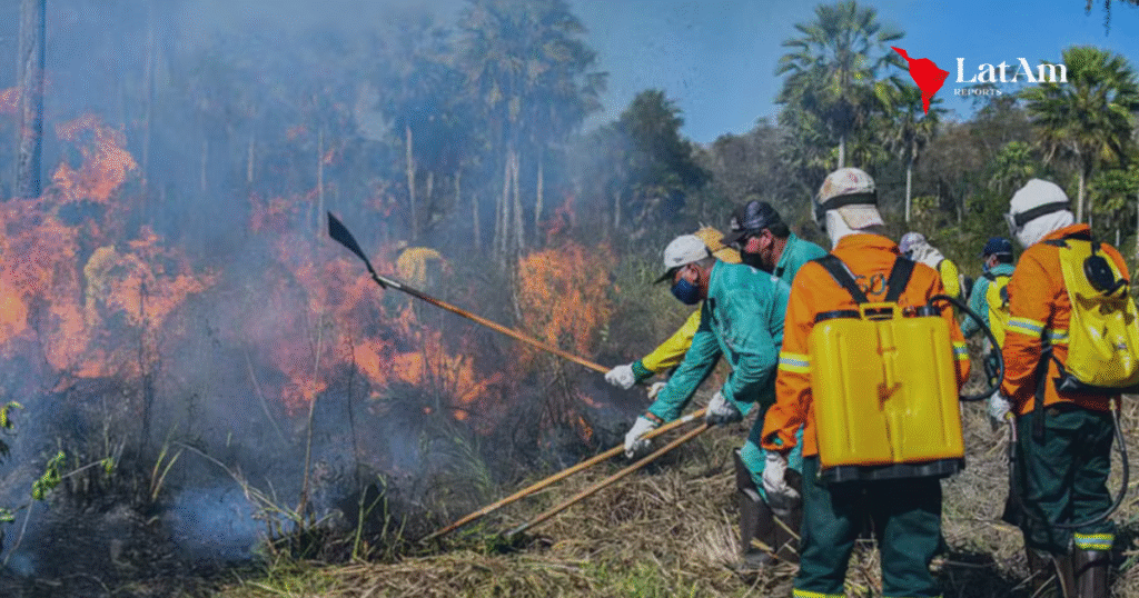 Governo quer ampliar combate ao fogo no Cerrado e Pantanal com verba do Fundo Amazônia