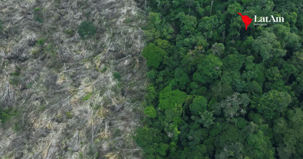 Desmatamento na Amazônia cresce 27% no primeiro semestre e atinge maior alta no governo Lula