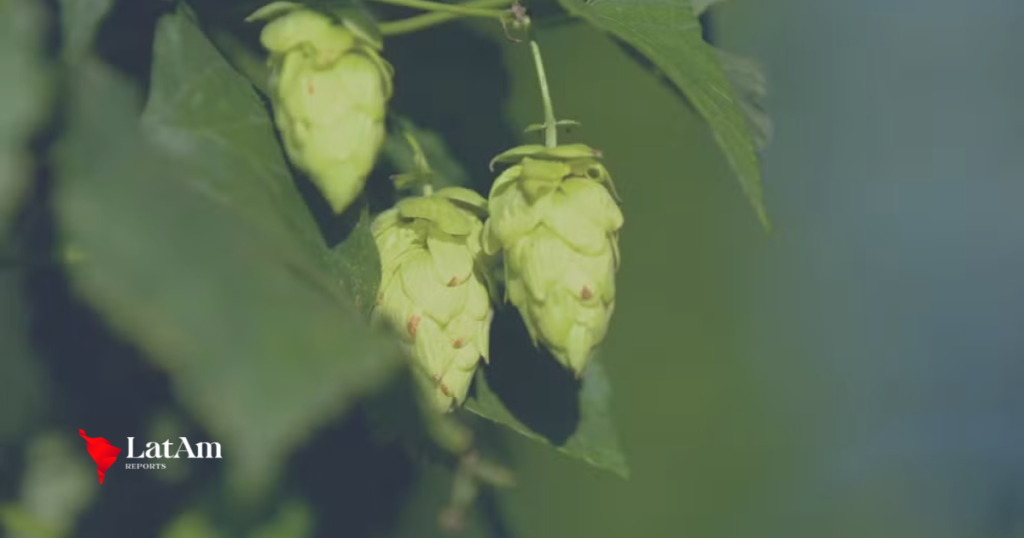 Governo zera tarifa de importação de quase mil produtos sem fabricação no Brasil