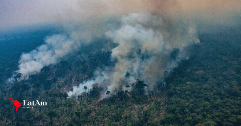 Trump ameaça fundos para a Amazônia e coloca em risco combate ao desmatamento e à pobreza no Brasil