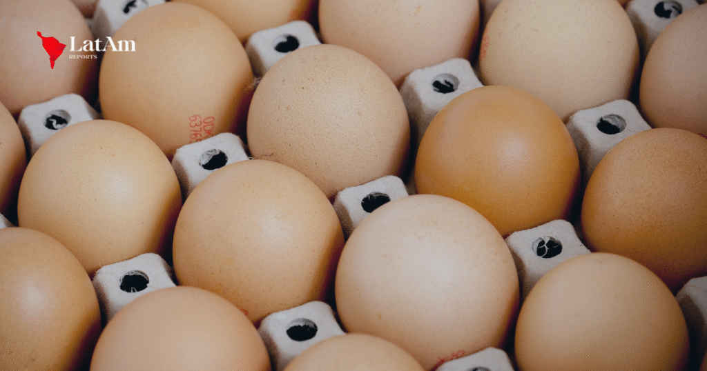 Exportações de frango recuam em 2025, mas ovos viram destaque no mercado