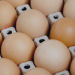 Exportações de frango recuam em 2025, mas ovos viram destaque no mercado