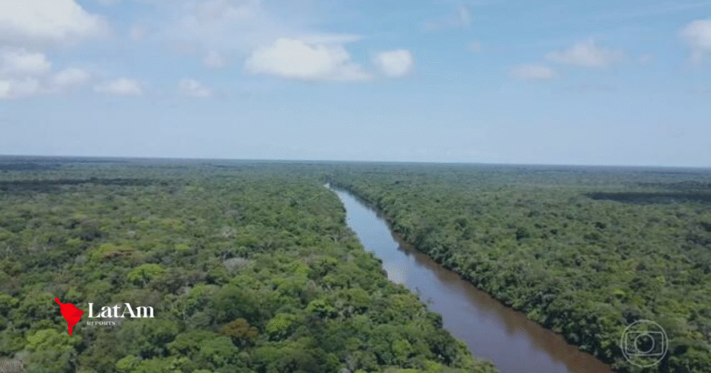 Fundo Florestas Tropicais para Sempre alcança US$ 5,5 bilhões com novos aportes internacionais