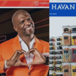 Black Friday vira campo minado com sites falsos da Shopee e Havan roubando dados e dinheiro via Pix