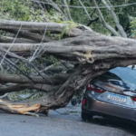 Quase 1,5 milhão de imóveis seguem sem energia após ventania na Grande SP