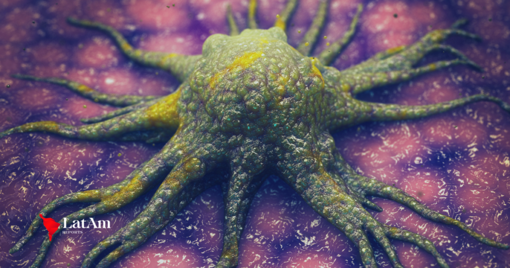 Nova molécula pode “enfraquecer” tumores ao cortar energia das células cancerígenas, apontam cientistas