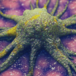 Nova molécula pode “enfraquecer” tumores ao cortar energia das células cancerígenas, apontam cientistas