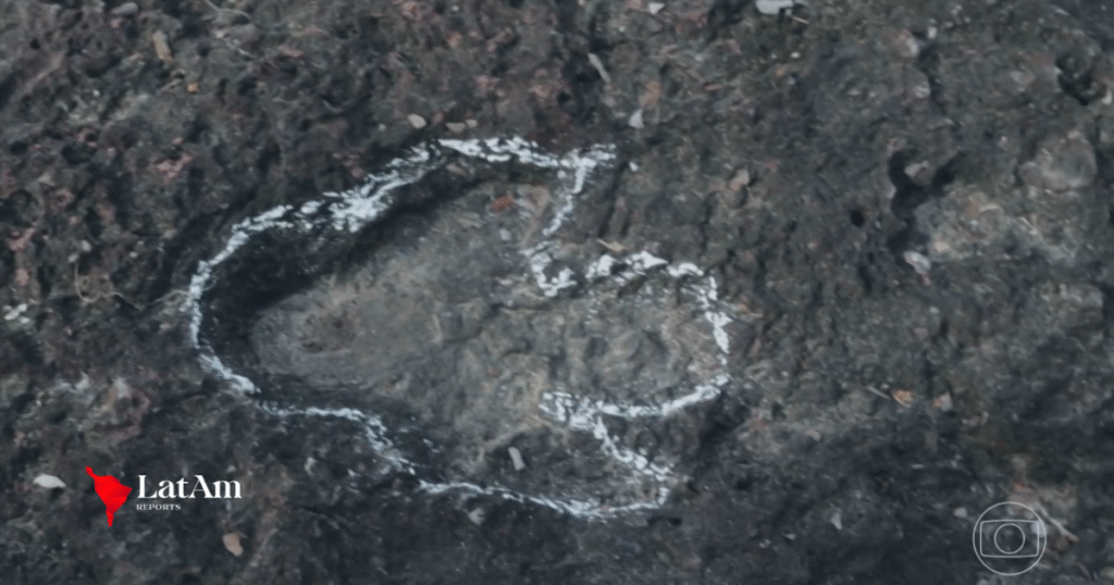 Pesquisadores encontram pegadas de dinossauros com mais de 100 milhões de anos na Amazônia