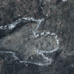 Pesquisadores encontram pegadas de dinossauros com mais de 100 milhões de anos na Amazônia
