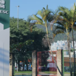 STF forma maioria para derrubar lei de Santa Catarina que proibia cotas raciais em universidades