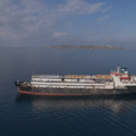 Buque con 3.000 vacas y terneros agonizantes intenta regresar a Uruguay tras meses varado en el mar