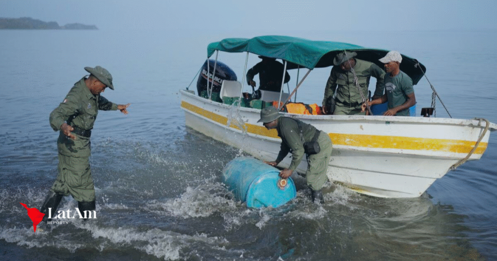 Darién: crisis migratoria deja una herida ambiental profunda