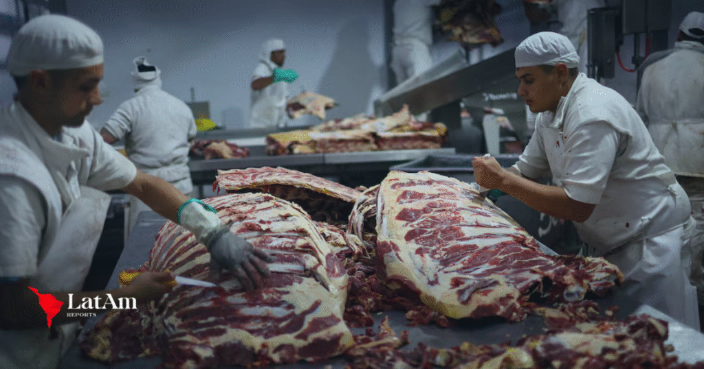 Exportaciones de carne argentina caen por efecto del peso fuerte y altos costos