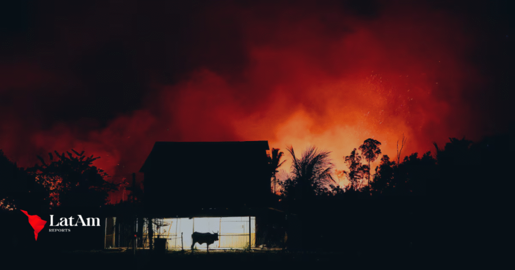 Incendios en la Amazonía provocan pérdida récord de bosques tropicales en 2024, según informe