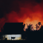 Incendios en la Amazonía provocan pérdida récord de bosques tropicales en 2024, según informe